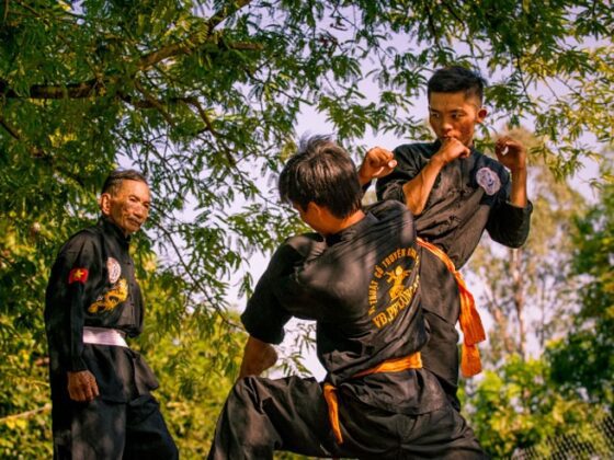 Vietnamese martial arts_thumb