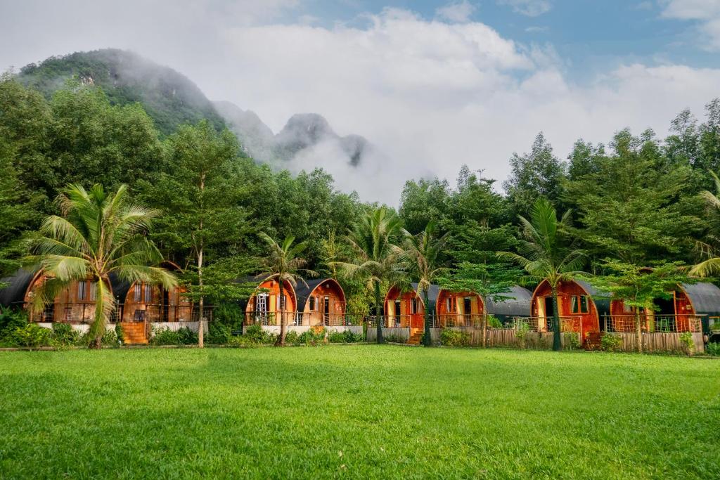 digital detox in Vietnam_4