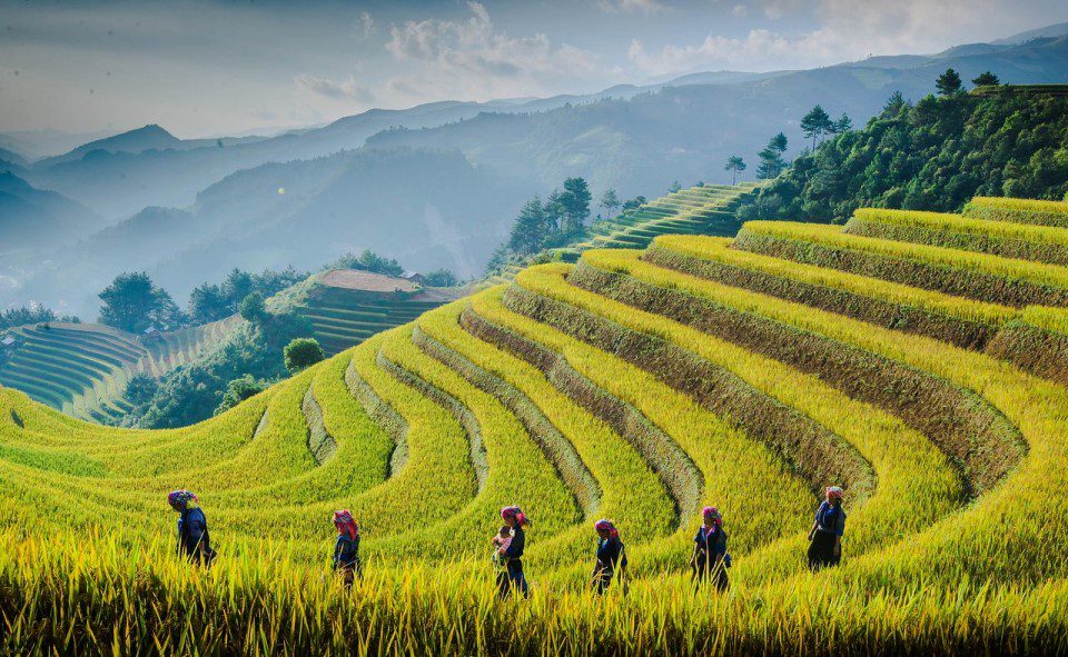 most beautiful hikes in Vietnam_4