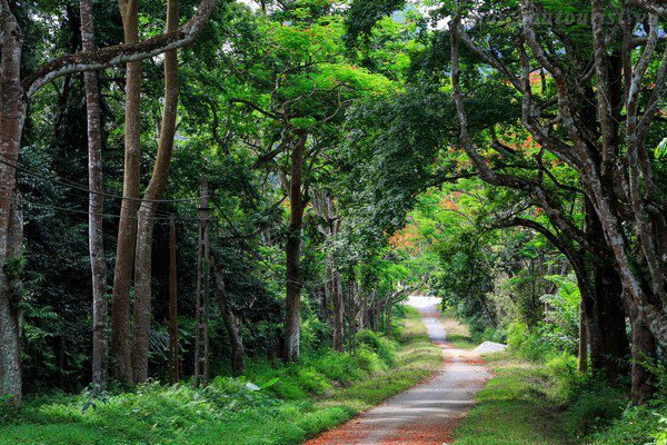 most beautiful hikes in Vietnam_9