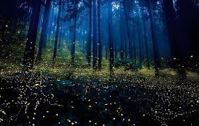 stargazing in Vietnam_4