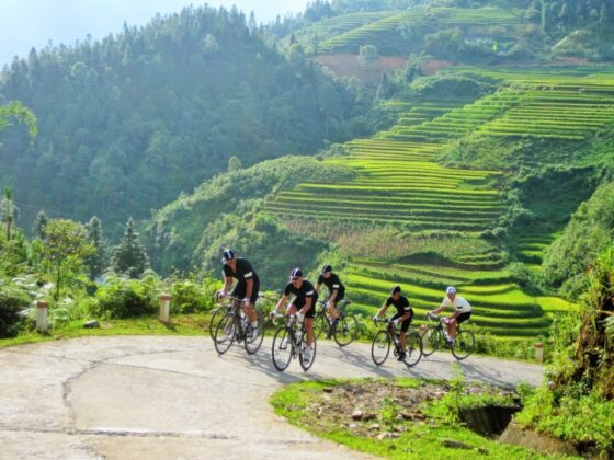 Cycling In Vietnam