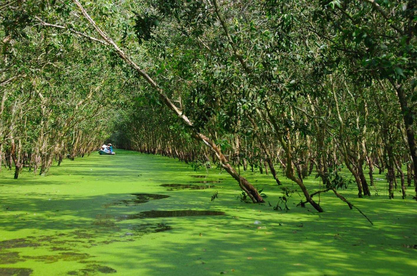 jungle-bathing-in-vietnam-2.jpg