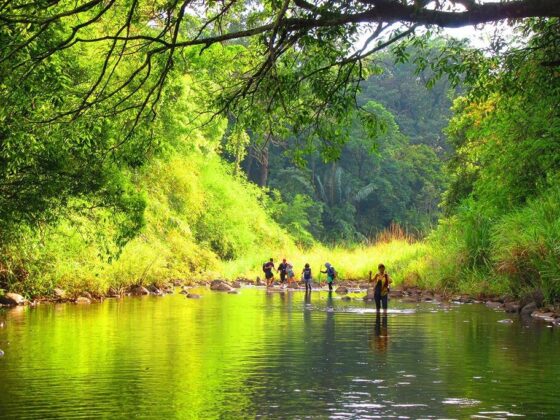 jungle-bathing-in-vietnam-thumb