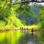 jungle-bathing-in-vietnam-thumb