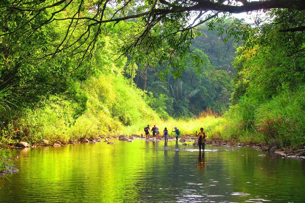 jungle-bathing-in-vietnam-thumb