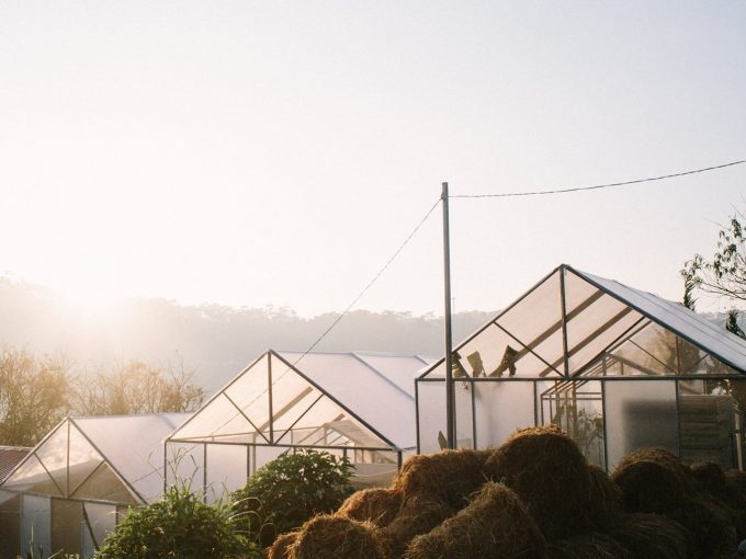 the-barn-tong-view.jpeg