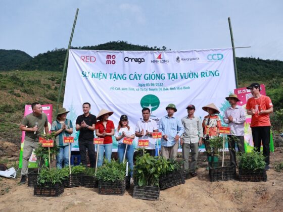 treebank-thuc-hien-le-giao-cay-giong