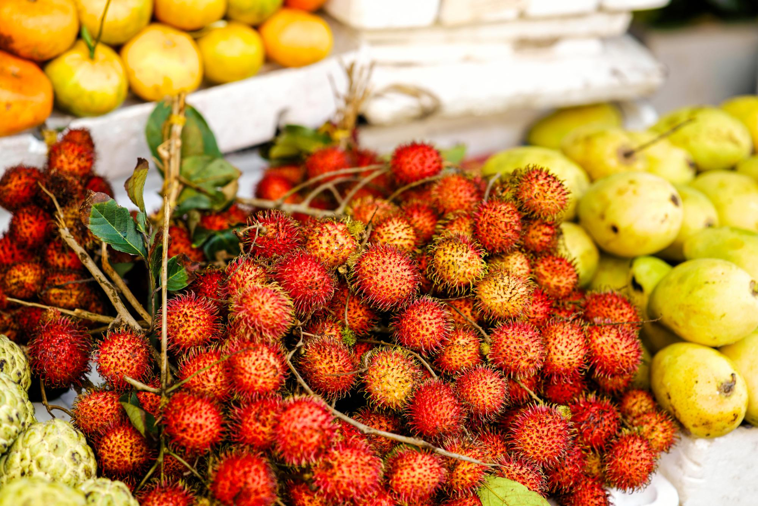 vietnam-fruit-4.jpg