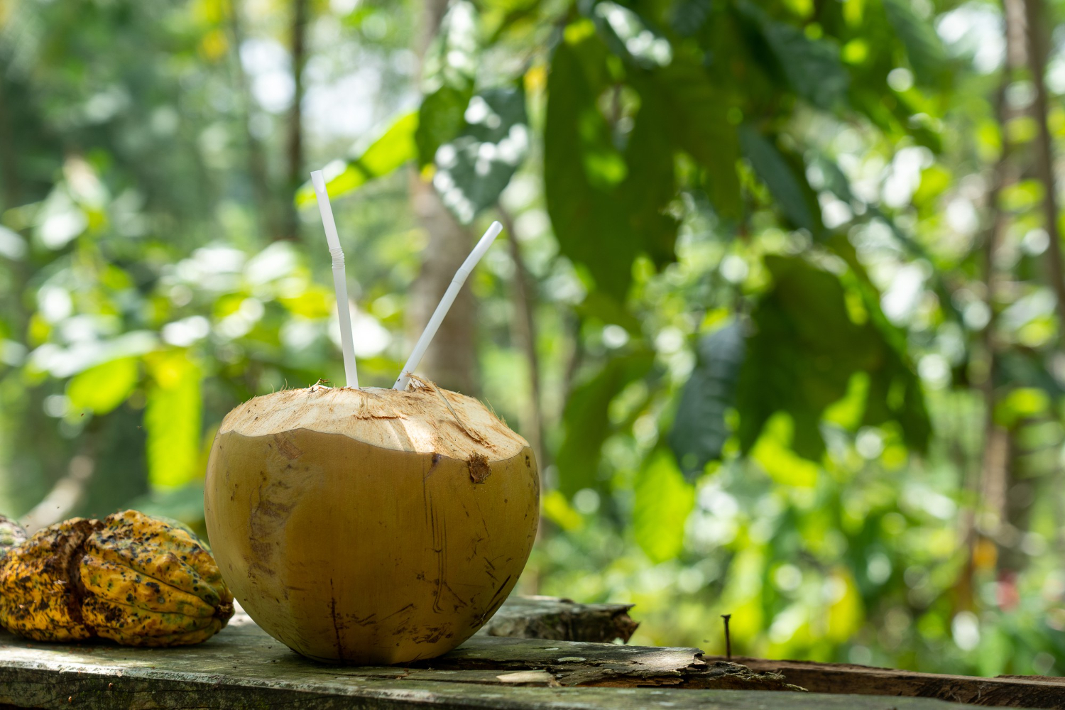 coconut-water-benefits-2.jpg