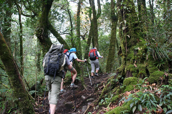 hiking-trails-in-vietnam-1.jpg