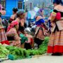 sapa-market-thumb