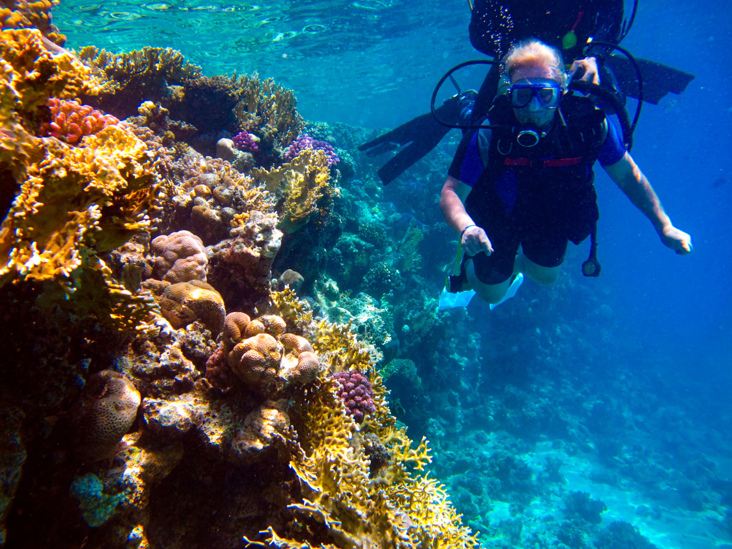 scuba-diving-in-vietnam-1.jpg