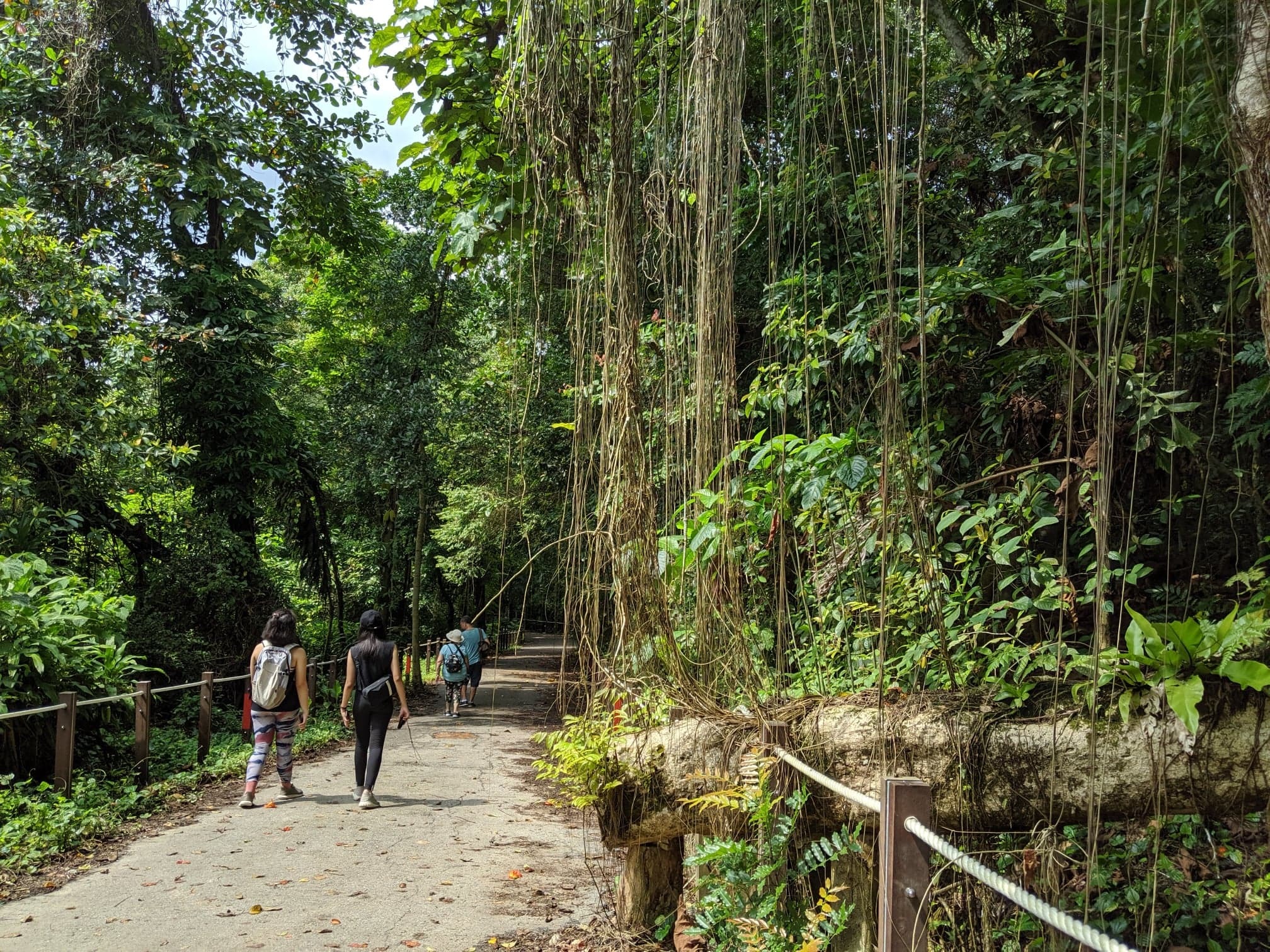 trekking-loi-ich.jpg