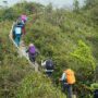 types-of-hiking-thumb