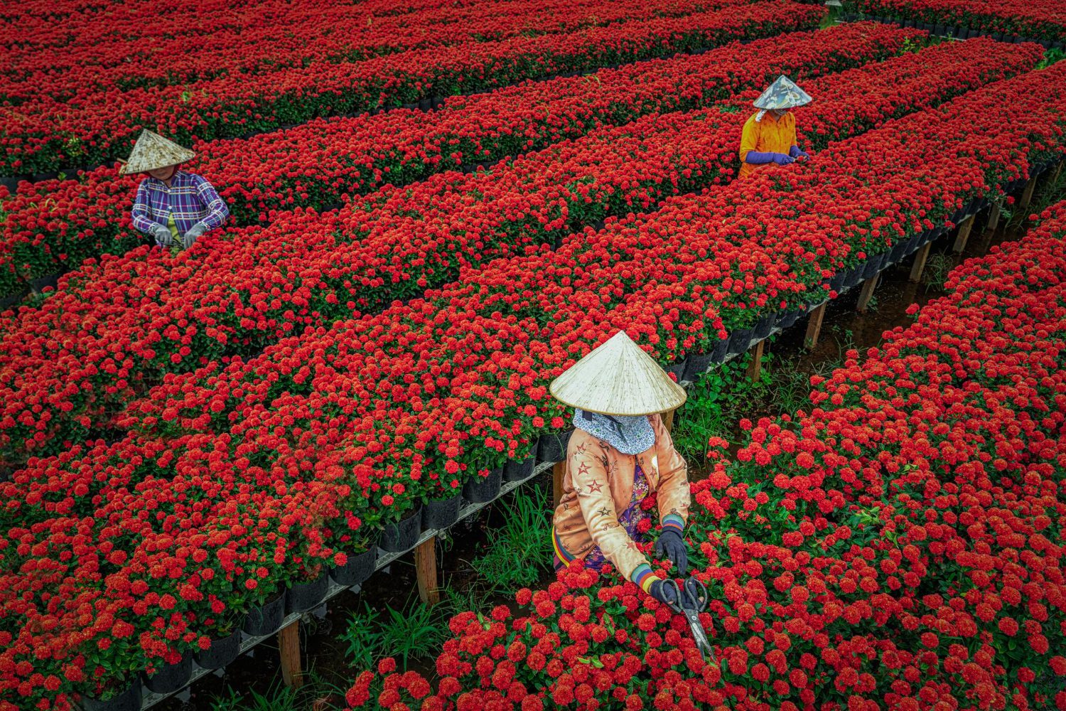Vietnam's most searched travel destination