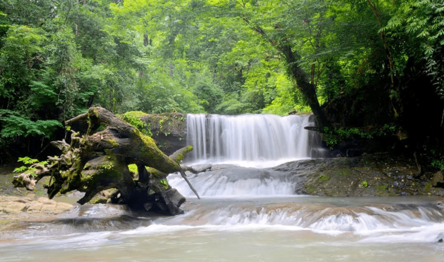Bù Gia Mập National Park