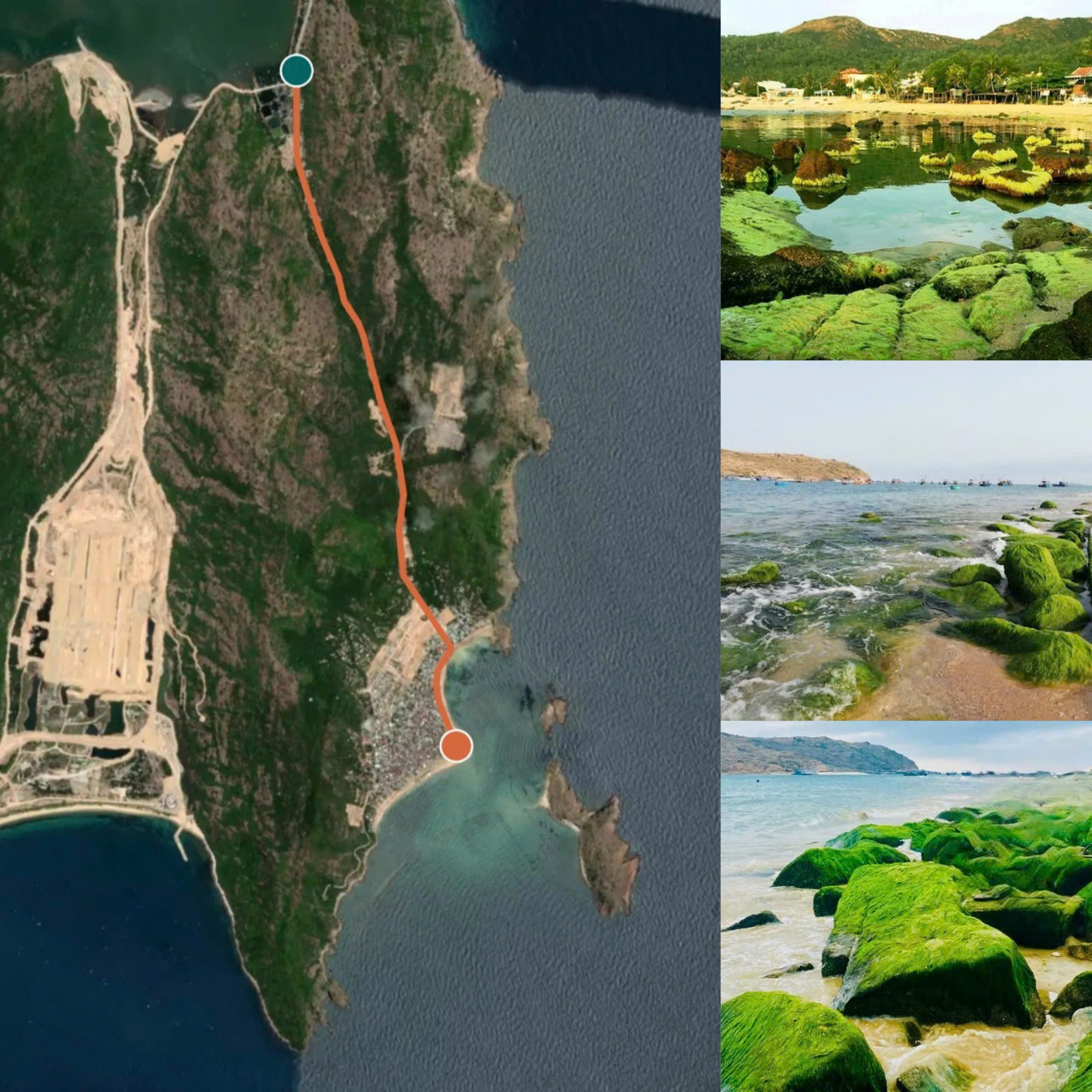 Sea moss beaches in Vietnam