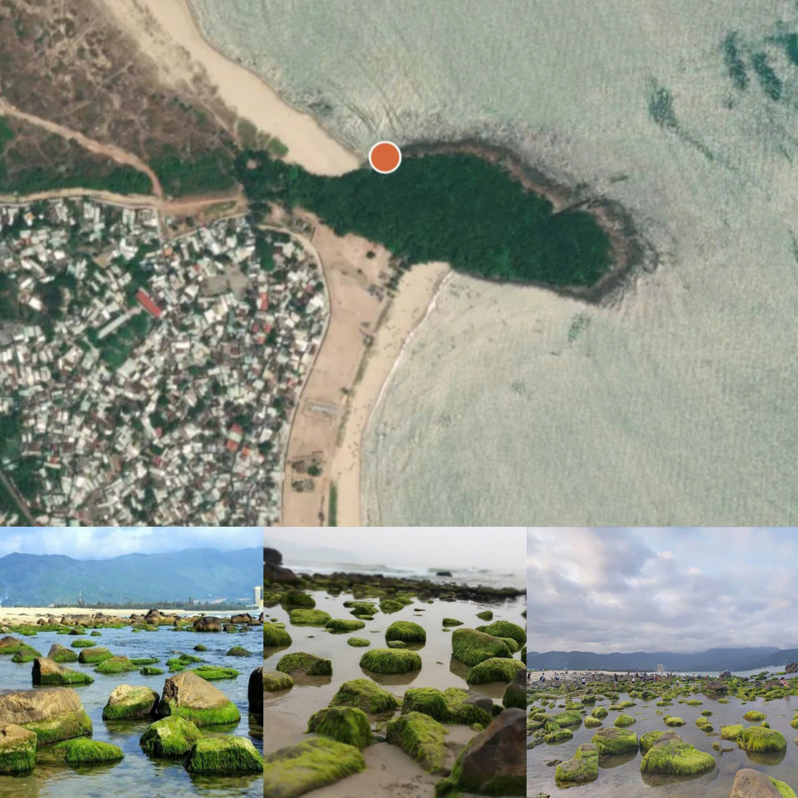 Sea moss beaches in Vietnam