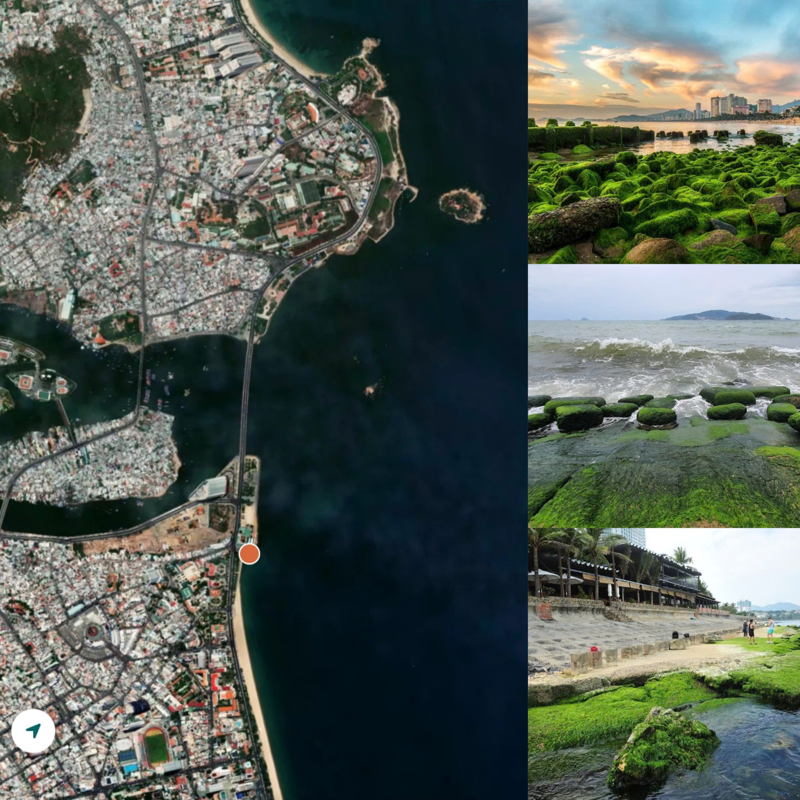 Sea moss beaches in Vietnam