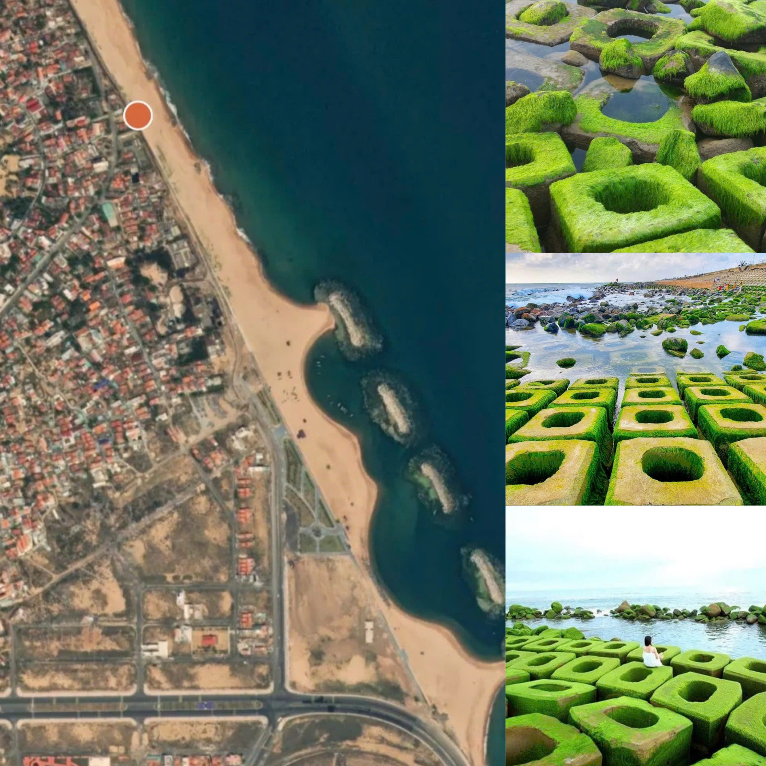 Sea moss beaches in Vietnam