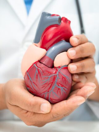 cardiovascular age_thumb