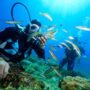 coral diving Nha Trang_thumb