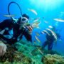 illegal diving in Nha Trang_thumb