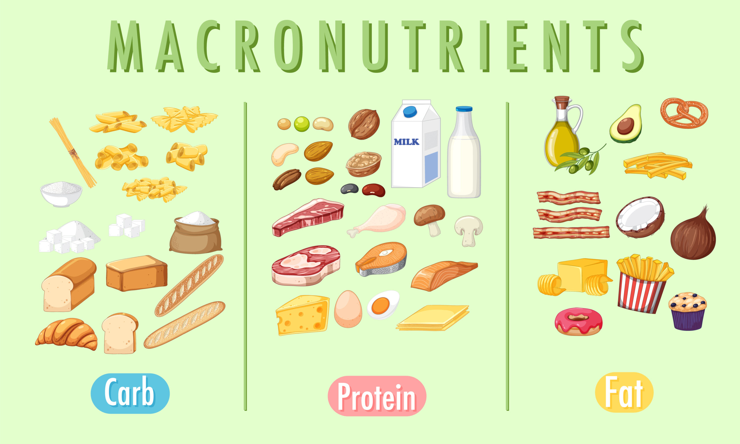 macros and micros nutrition