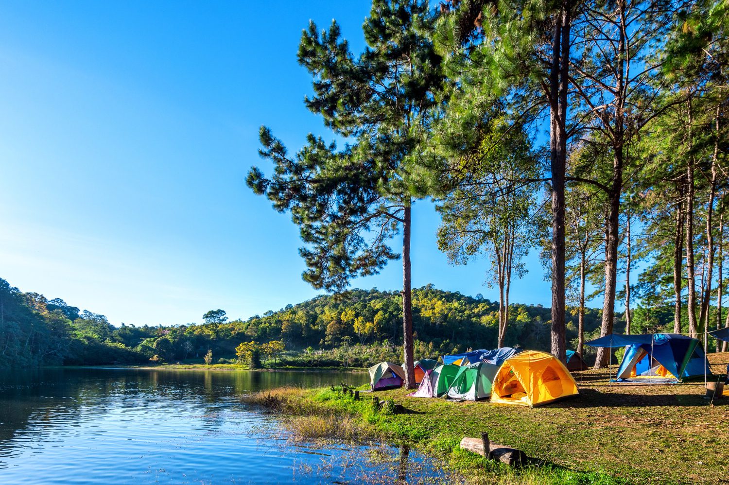 camping vs glamping_1