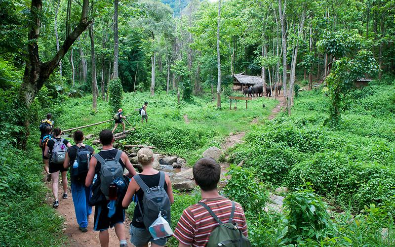 forest schools in Vietnam_5