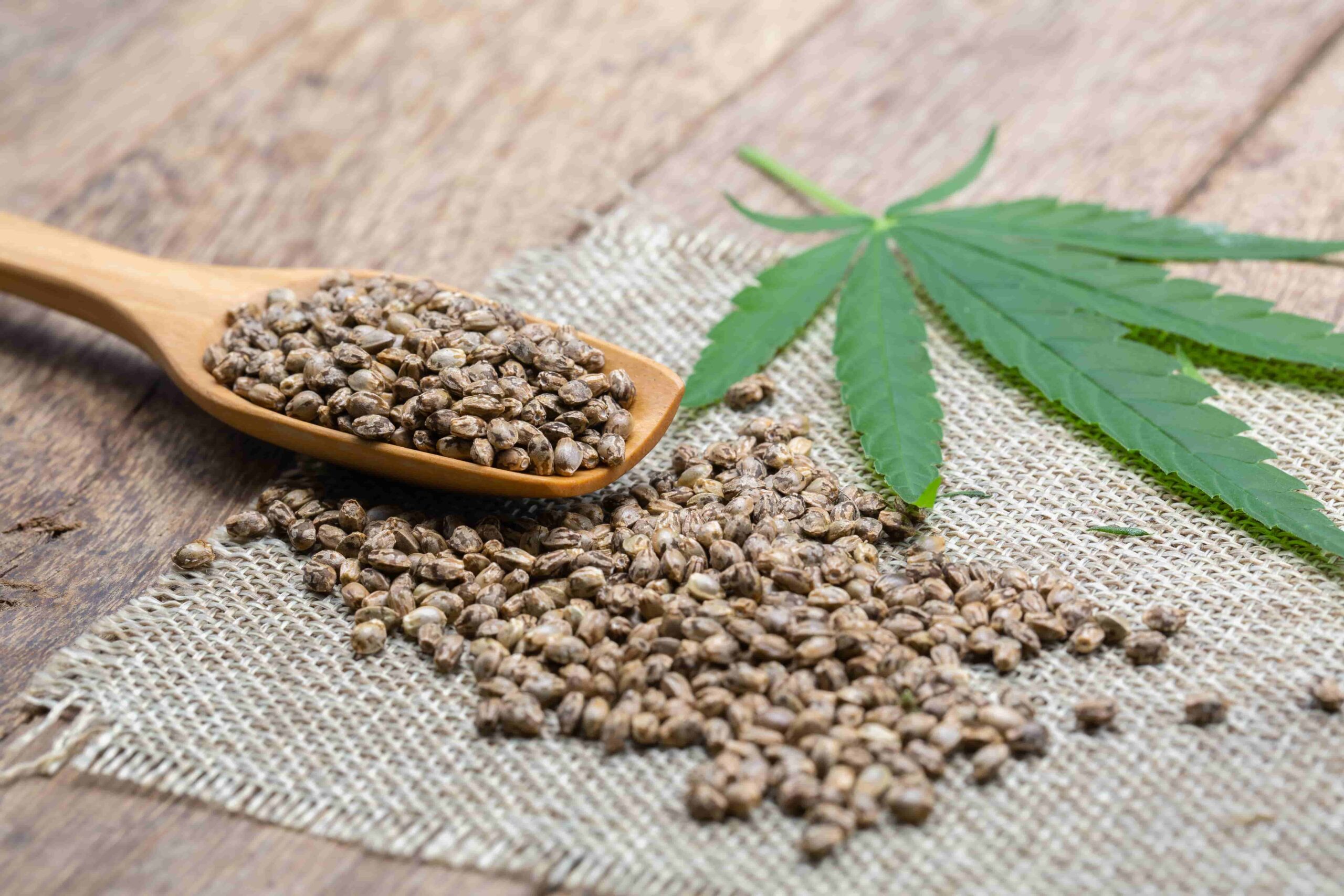 health benefits of seeds_4-min