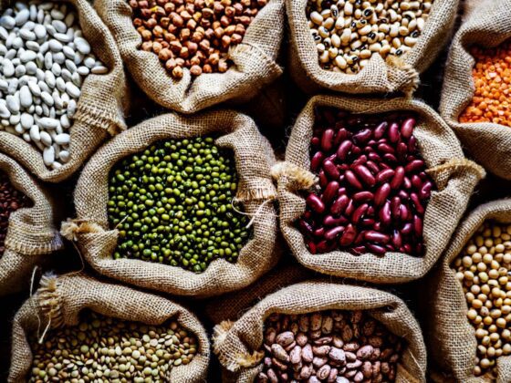health benefits of seeds_thumb-min