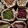 health benefits of seeds_thumb-min