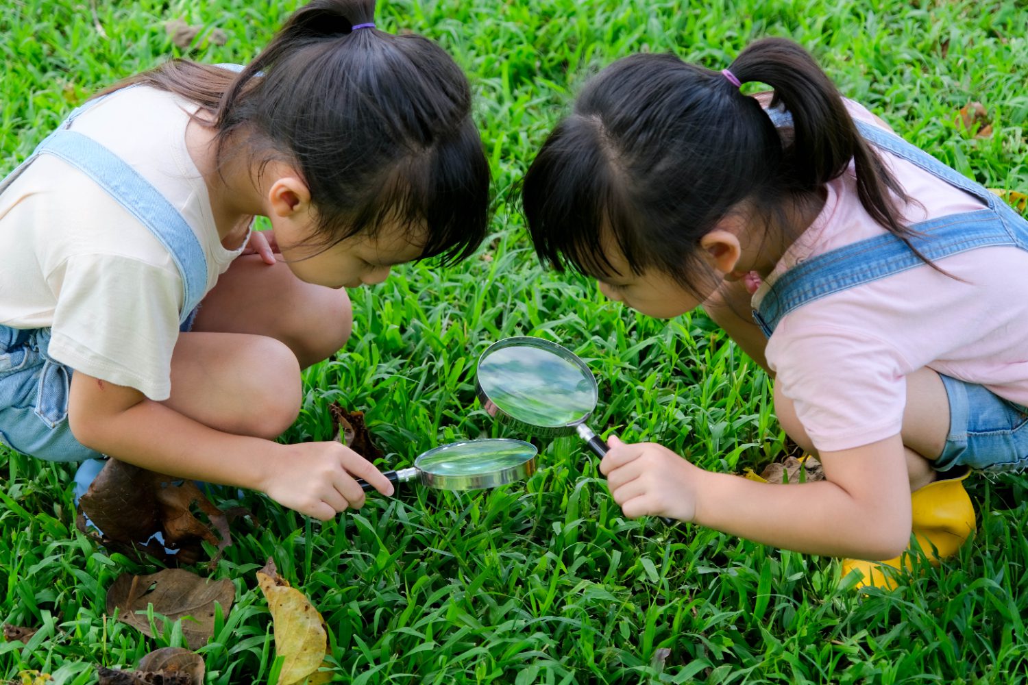 kids and nature connection_1