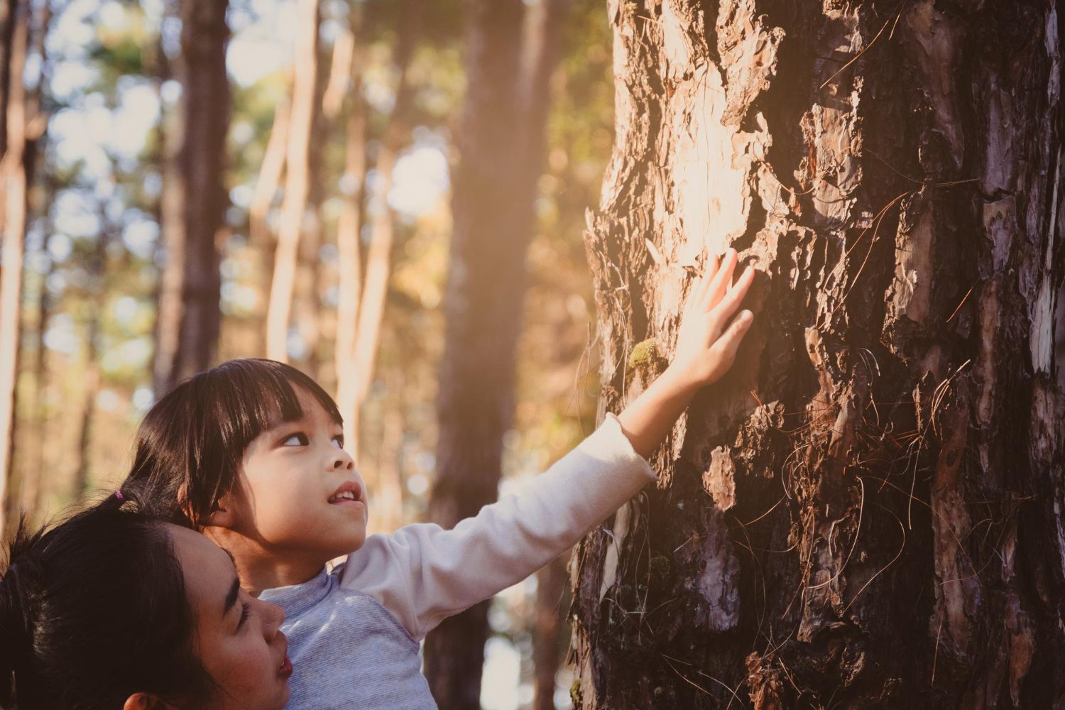 kids and nature connection_4
