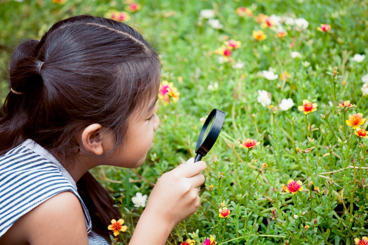 kids and nature connection_6