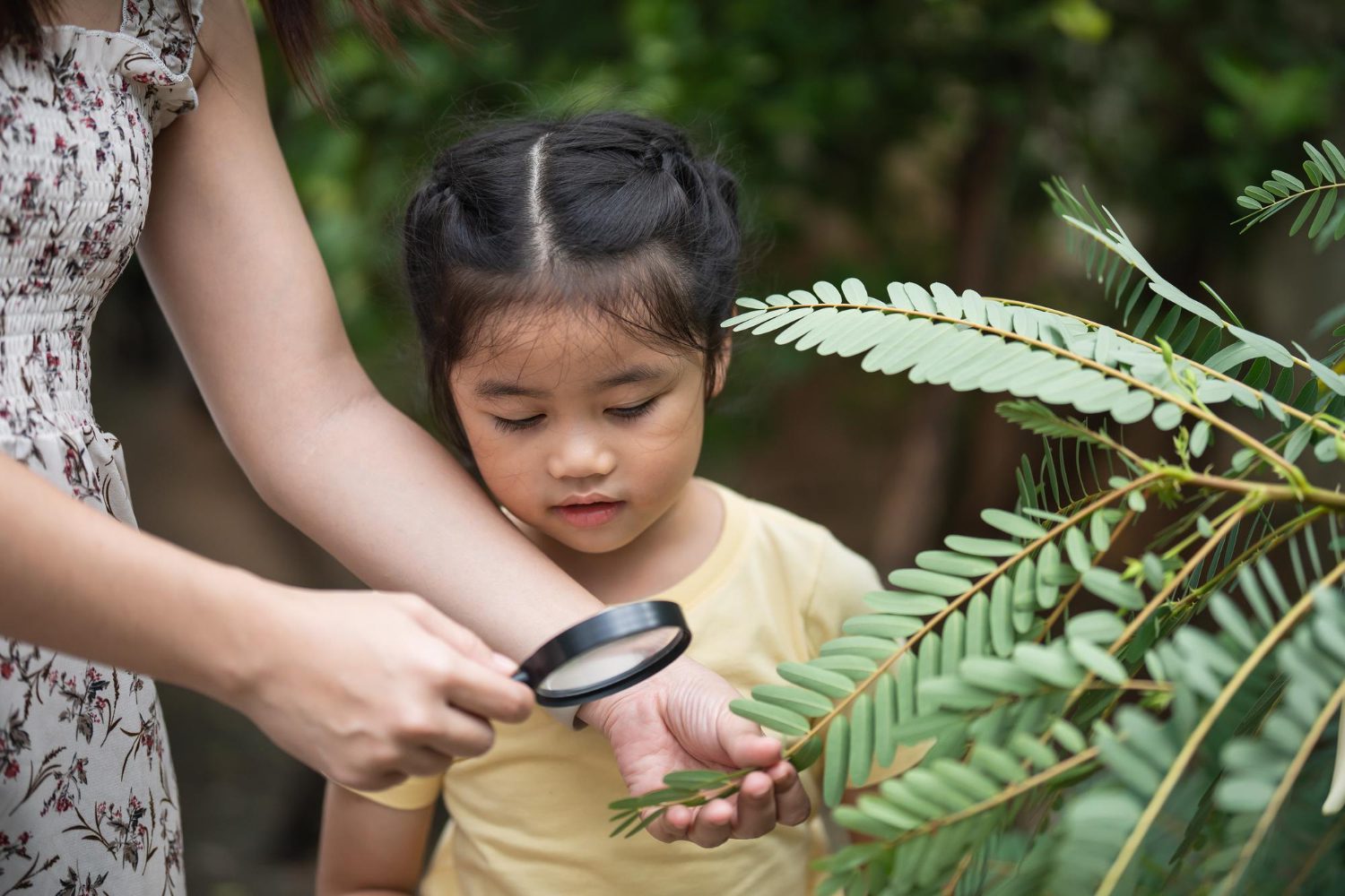 kids and nature connection_7