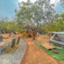 outdoor camping in Vietnam_thumb