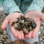 take pebbles from the beach_thumb-min