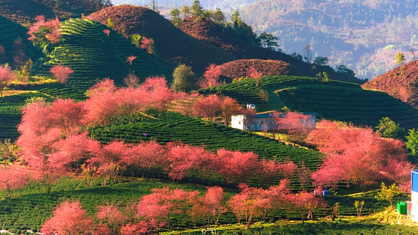 best time to visit Vietnam_1