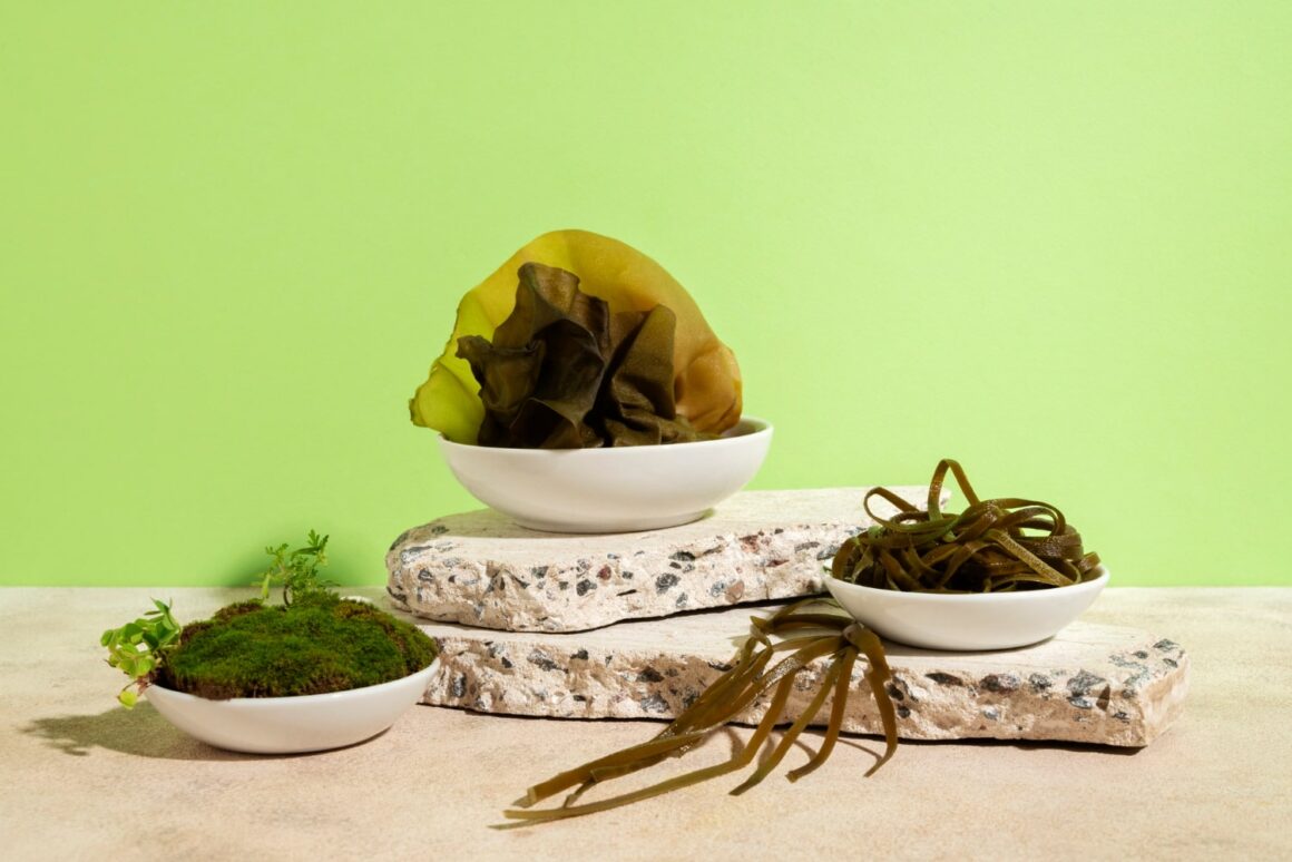 seaweed benefits_thumb-min