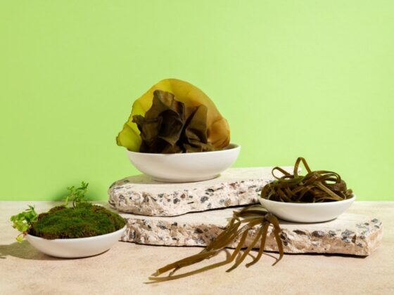 seaweed benefits_thumb-min