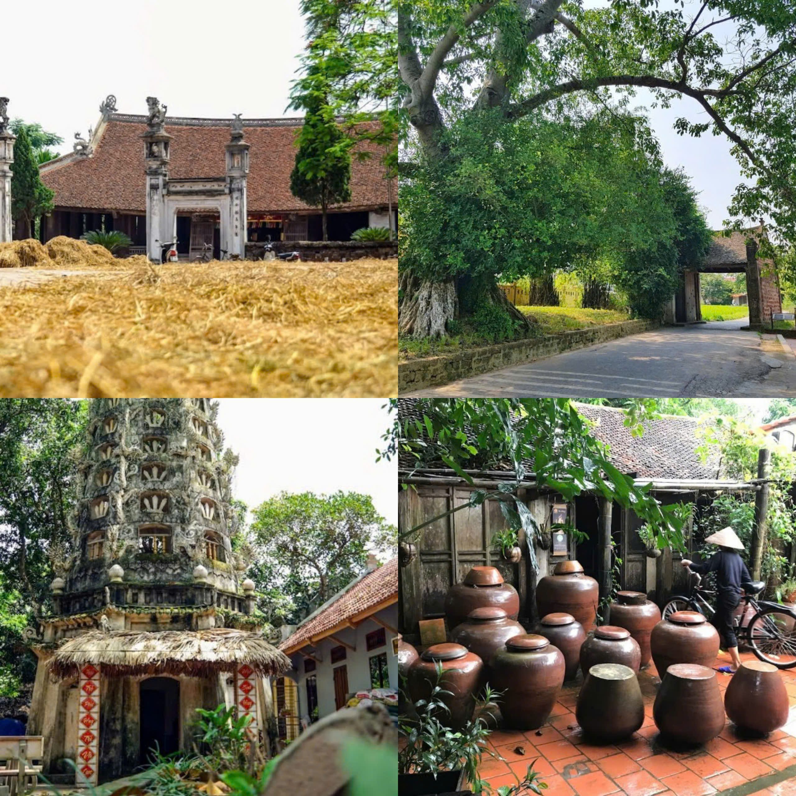 Ngôi Làng Du Lịch Sinh Thái Đường Lâm_eco-tourism villages in Vietnam