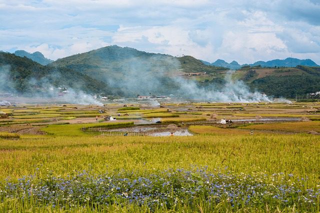 Vietnam travel boom_4