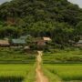 Pu Luong Nature Reserve_thumb