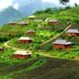 Vietnam homestay experience_thumb