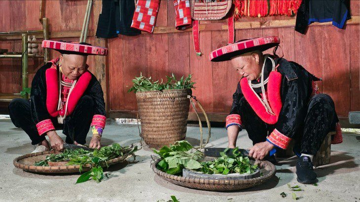 Vietnamese herbal medicine_1
