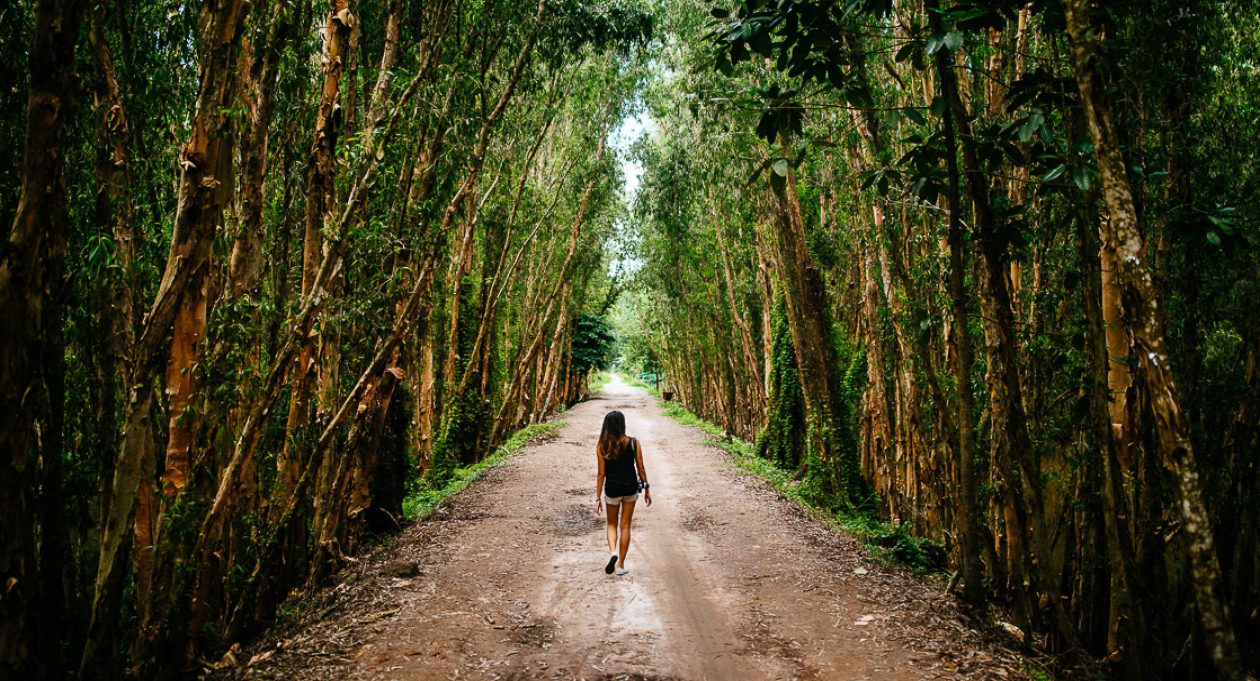 hiking personality type_4