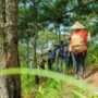 hiking personality type_thumb